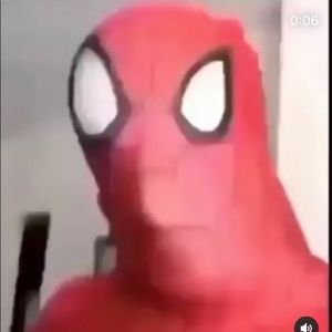 Meet your Posher, Logan